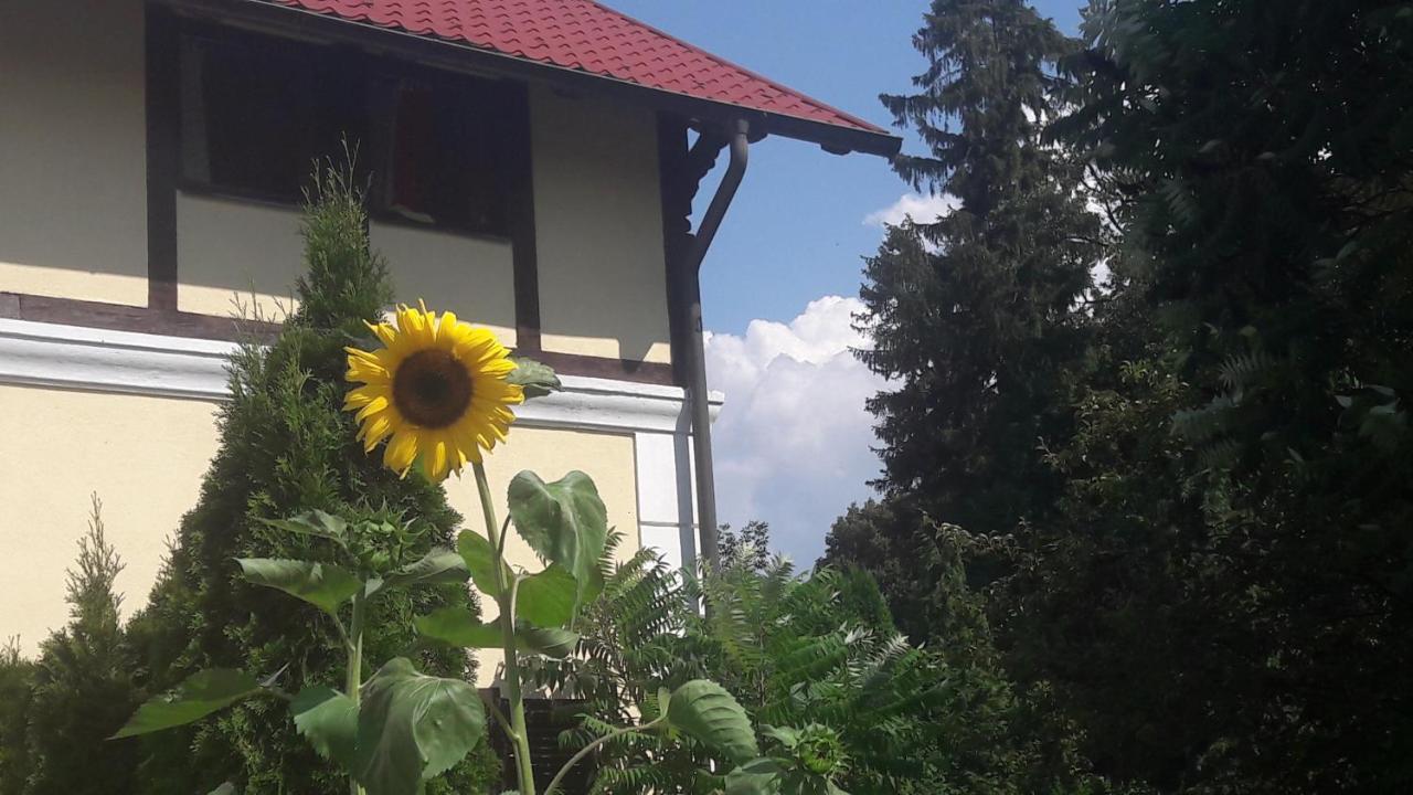 Penzion Pod Orechom Turčianske Teplice Extérieur photo