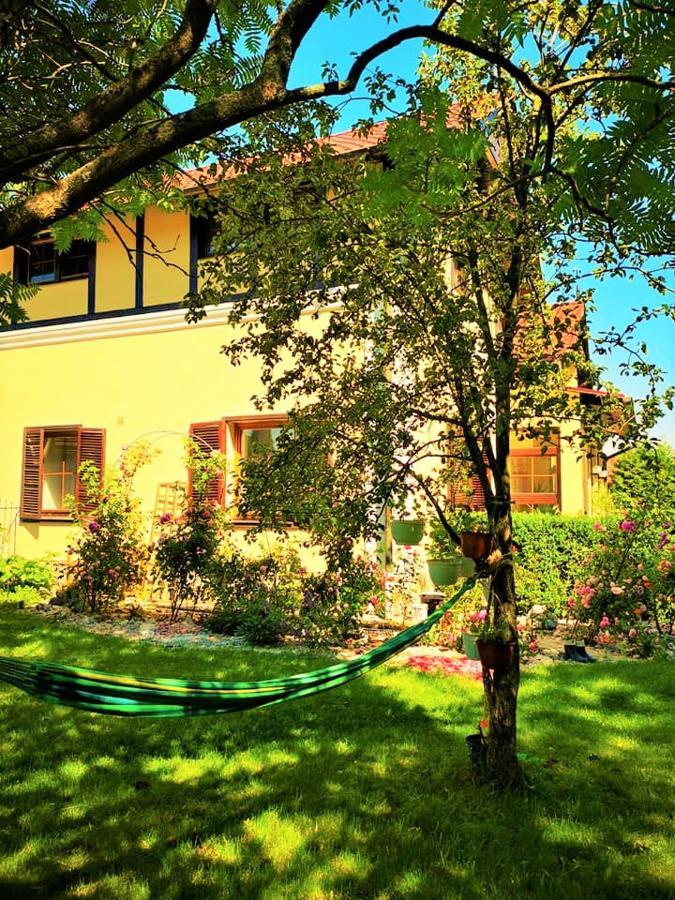 Penzion Pod Orechom Turčianske Teplice Extérieur photo